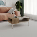 Table basse moderne Cailin avec rangement ouvert