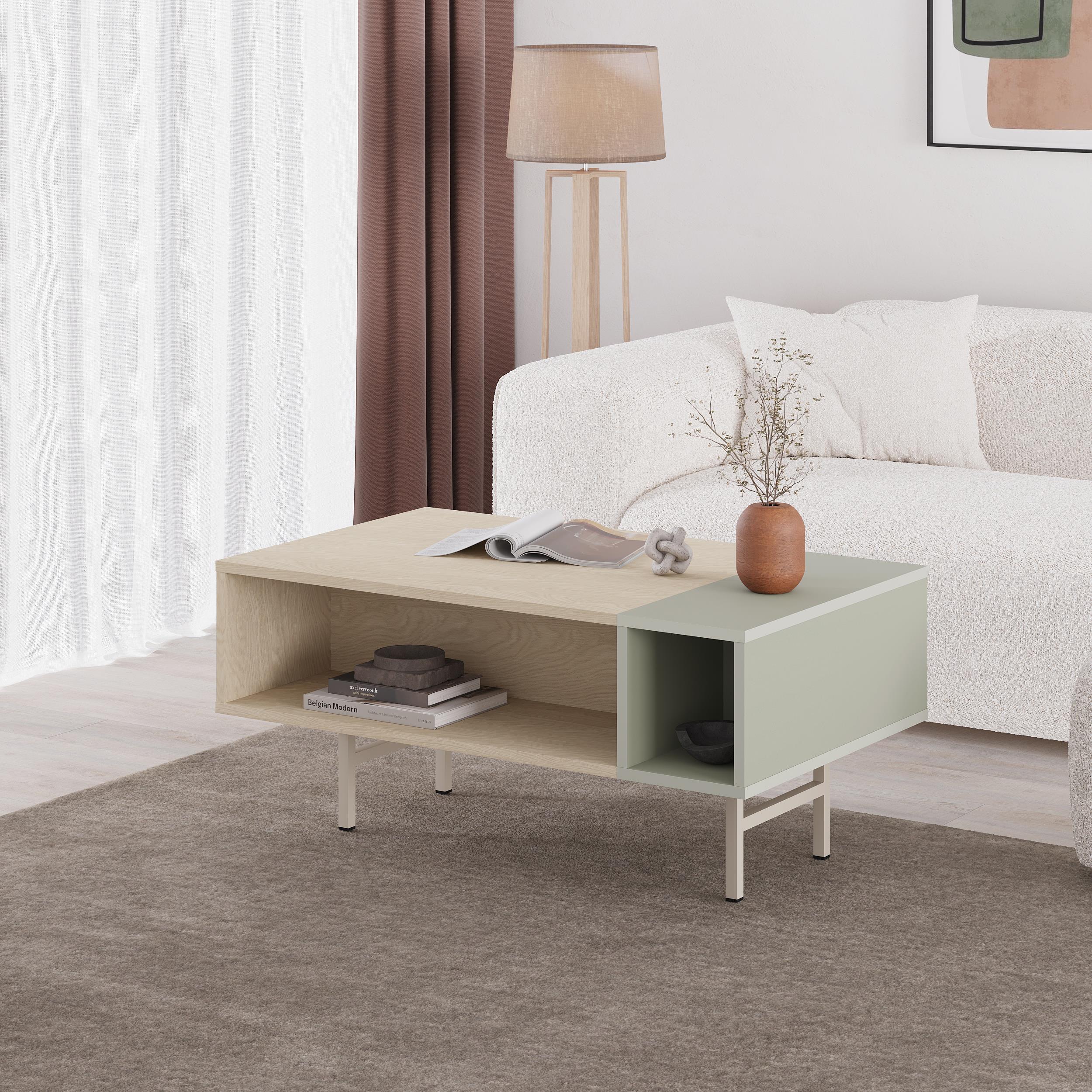 Table basse Mona moderne avec rangement ouvert