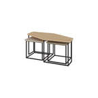 Decortieliving - Nesty Modern Coffee Table 3 Pieces
