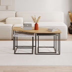 Decortieliving - Nesty Modern Coffee Table 3 Pieces